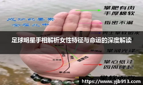 365WM完美体育官方app